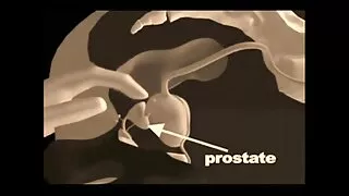 زوجة فلم انجلينا جولي سكسي الملاعين الديوث ضبطت.