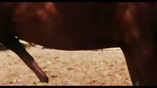 البيرة فا فلم سكسي جماعي