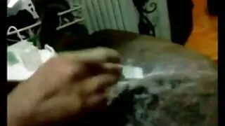 داني اجمل فلم سكسي في العالم ن ن امتص الديك وأراد أن يمارس الجنس.