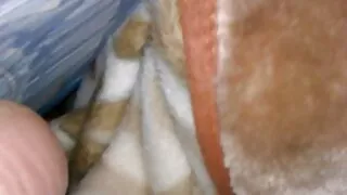 ناضجة شقراء فلم سكسي اباحي ينتشر ساقيها.